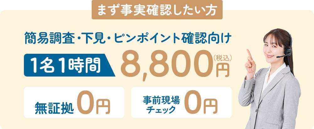 簡易調査・下見・ピンポイント確認向け 1名1時間 8,800円